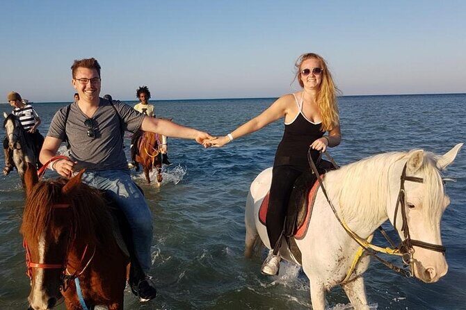 Horse Riding Adventure 2 hours sea and Desert - Hurghada - Key Points