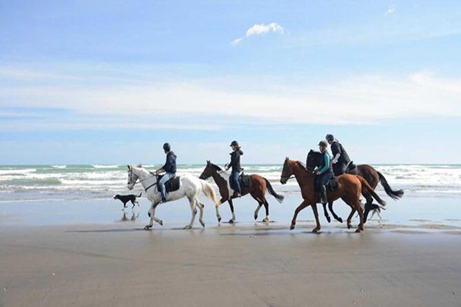 Horse Riding Adventure 2 hours sea and Desert - Hurghada - What Makes This Horseback Adventure Stand Out