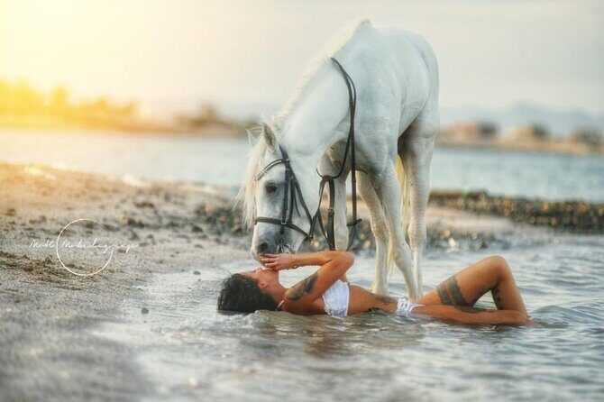 Horse Riding Adventure 2 hours sea and Desert - Hurghada - Frequently Asked Questions