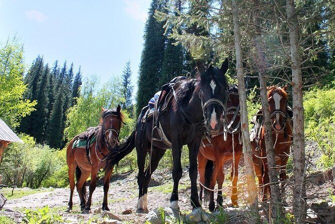 Horse riding adventure in mountains! - Overview and What to Expect
