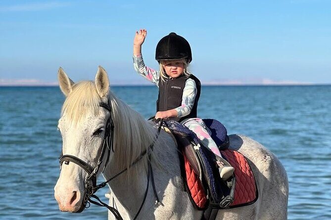 Horse riding Adventure on the Sea with Transfer in Hurghada - Key Points