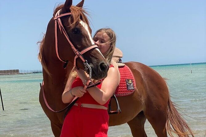 Horse riding Adventure on the Sea with Transfer in Hurghada - The Horses and the Guides