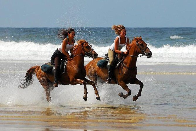 Horse Riding Agadir - Who Will Enjoy This Tour?