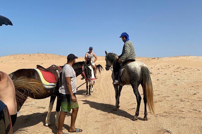 Horse Riding Agadir - Final Thoughts: Is This Tour Right for You?