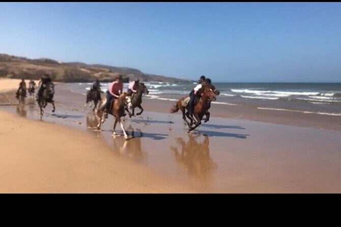 Horse Riding Agadir - FAQ