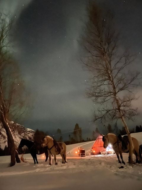 horse-riding-and-dining-experience
