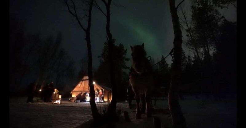 horse-riding-and-dining-experience