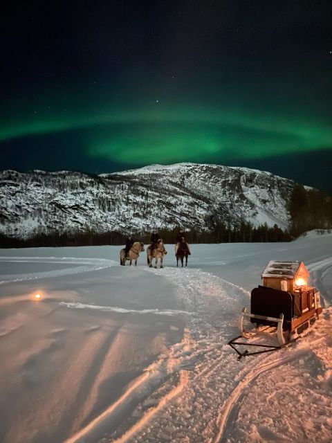 horse-riding-and-dining-experience