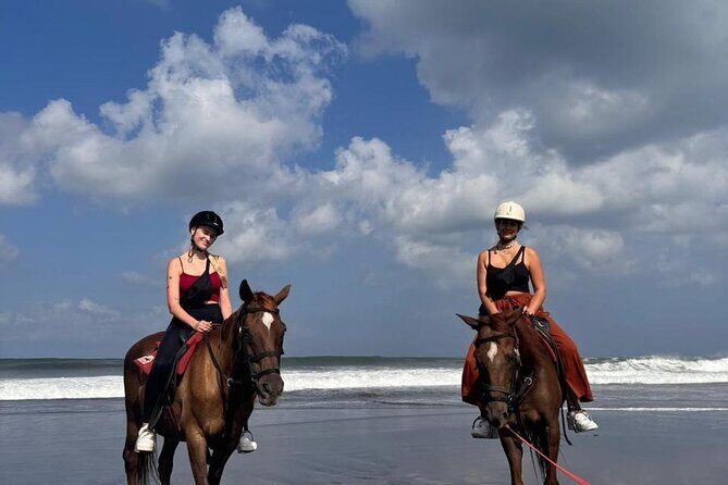 Horse Riding Bali On pigstone beach, Rice Field and village Tour - Exploring the Details of the Tour