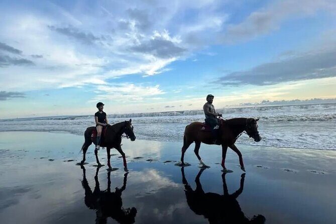Horse Riding Bali On pigstone beach, Rice Field and village Tour - Value for Money and Overall Impression
