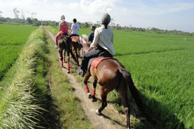 Horse Riding Bali On pigstone beach, Rice Field and village Tour - Who Should Consider This Tour?