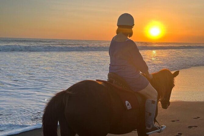Horse Riding Bali On pigstone beach, Rice Field and village Tour - The Sum Up