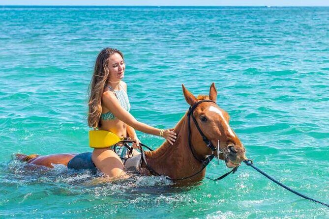 Horse Riding Beach or Desert with transfer from Sharm El Sheikh - The Detailed Breakdown of the Horse Riding Experience