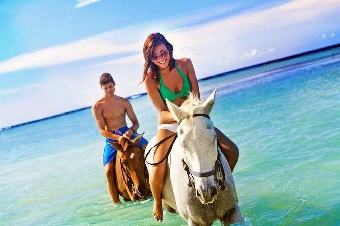Horse Riding Beach or Desert with transfer from Sharm El Sheikh - Who Should Consider This Tour?