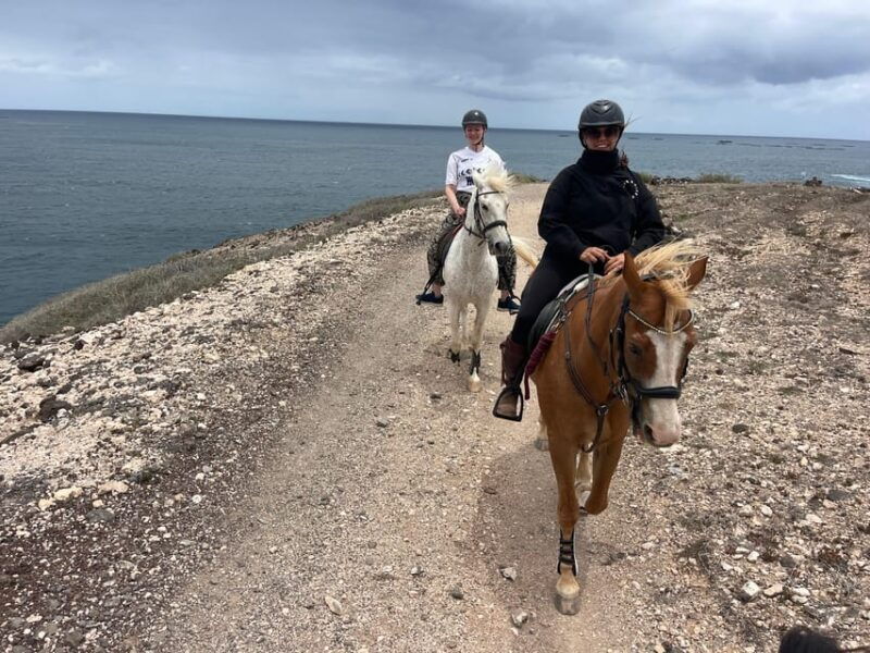 horse-riding-coast-tour