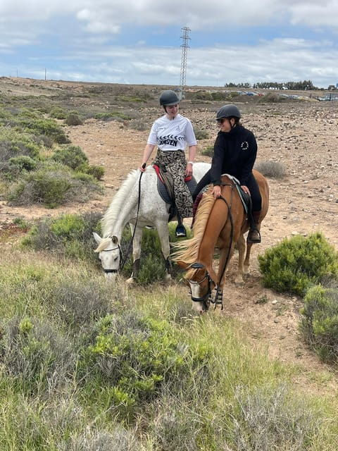 horse-riding-coast-tour