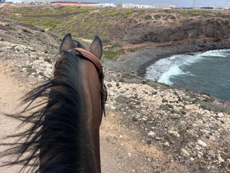 horse-riding-coast-tour