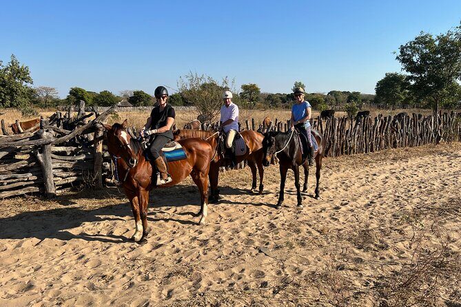 Horse Riding Community Village Tour Experience - Authentic Reviews and Insights