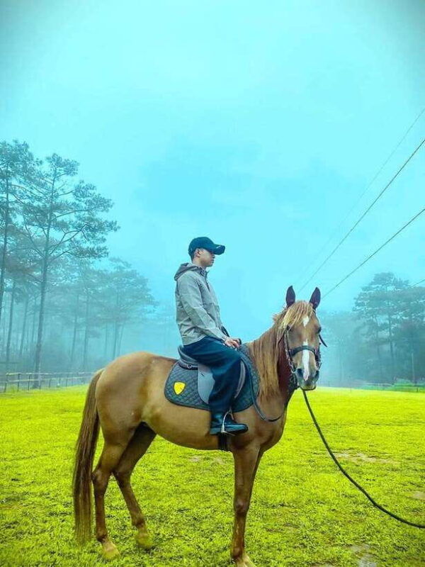 horse-riding-course-in-mang-den-with-pickup-and-drinks
