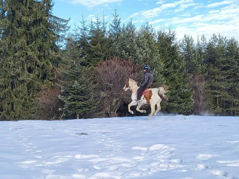 Horse Riding Day Trip in the Rila Mountain - Why This Tour Could Be a Great Choice for You  