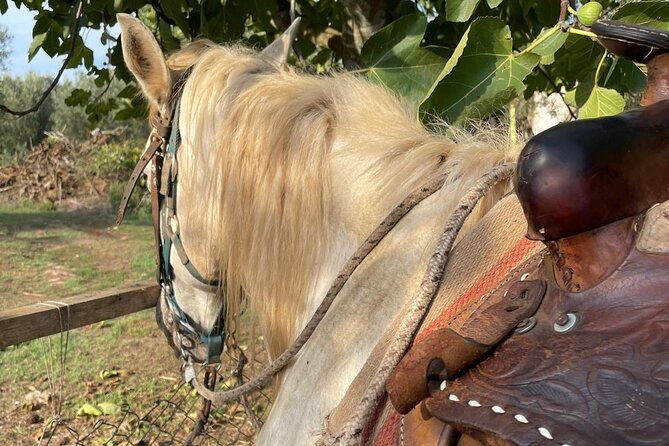 horse-riding-excursion