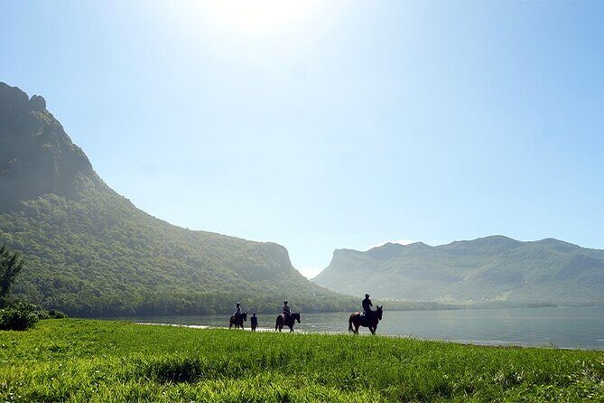Horse Riding experience by Haras du Morne - Key Points