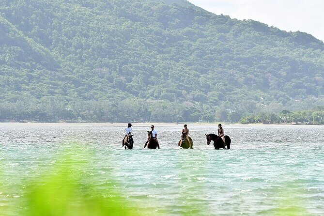 Horse Riding experience by Haras du Morne - Full Review of the South Mauritius Tour
