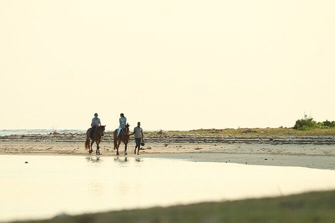 Horse Riding experience by Haras du Morne - Final Thoughts