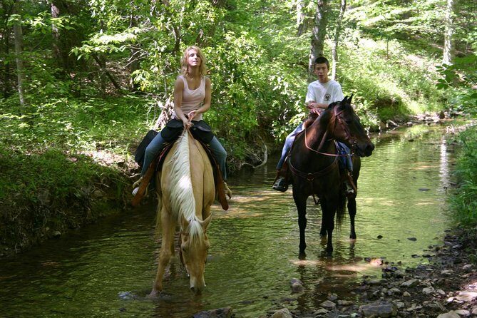 Horse Riding Experience in Marmaris with Transfer - What Makes This Horse Riding Tour Stand Out?
