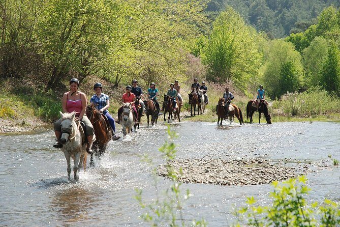 Horse Riding Experience in Marmaris with Transfer - The Itinerary and Experience Breakdown