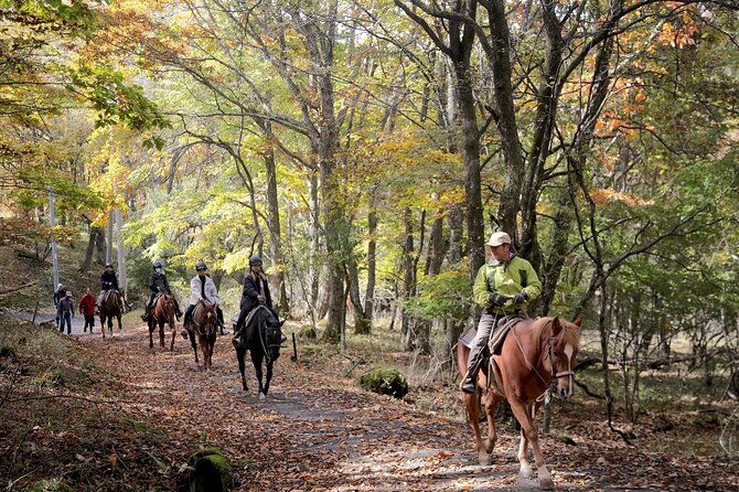 horse-riding-experience-in-nature-rich-lake-shirakaba