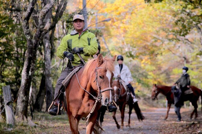 horse-riding-experience-in-nature-rich-lake-shirakaba
