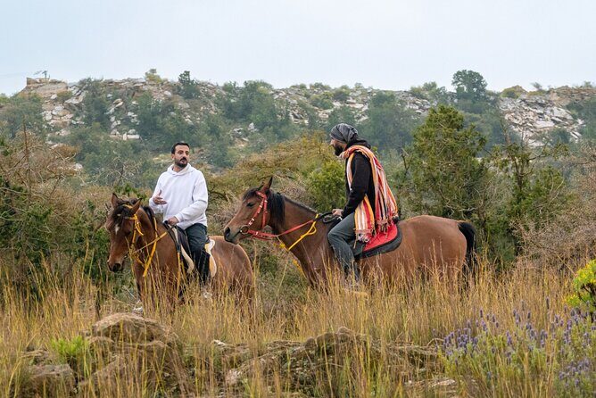 Horse Riding Experience in Riyadh | Tanomah | Jeddah | Al Ula - Exploring the Stops: What to Expect on Each