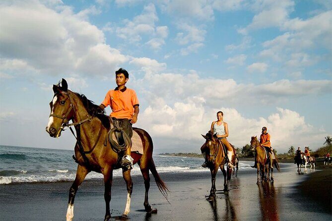 Horse Riding Experience on Black Sand Beach Bali - Who Is This Tour Best For?