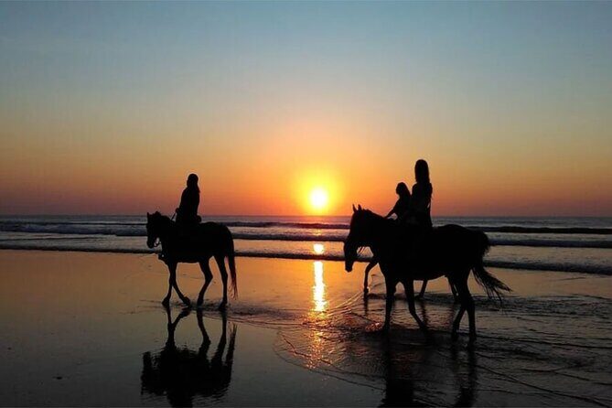 Horse Riding Experience on Black Sand Beach Bali - FAQ