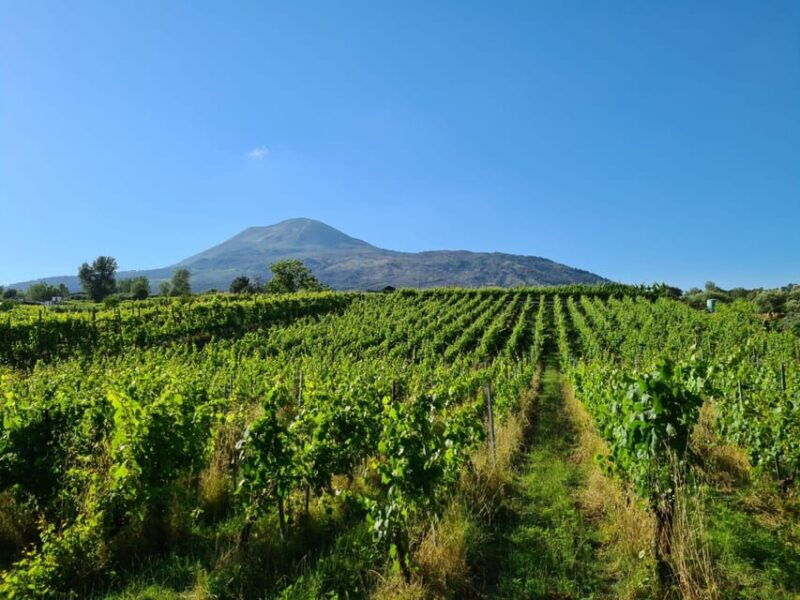 horse-riding-experience-on-vesuvius-w-wine-tasting
