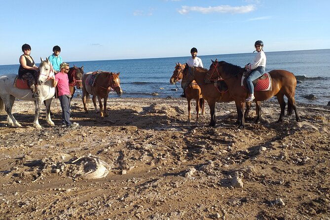 horse-riding-explore-secret-thera