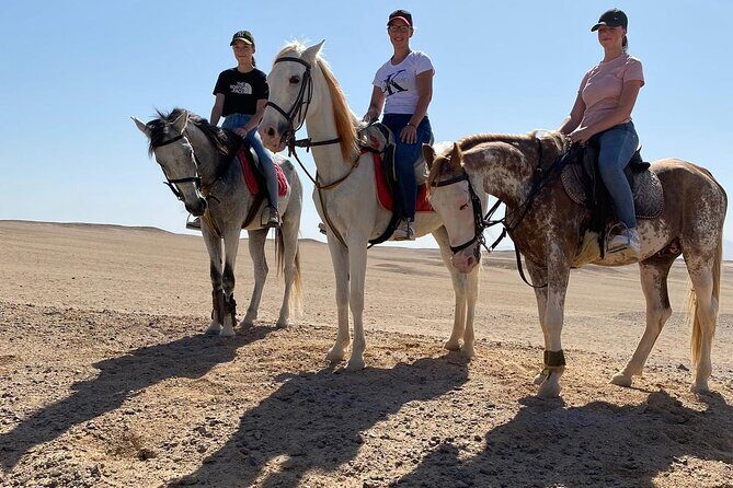 Horse Riding in Amazing Dessert With Transfer - Marsa Alam - Key Points