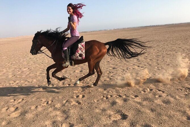 Horse Riding in Amazing Dessert With Transfer - Marsa Alam - The Value and Practical Aspects