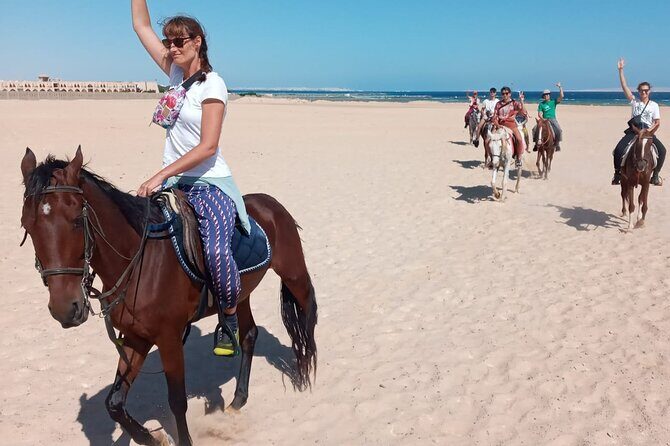 Horse Riding in Amazing Dessert With Transfer - Marsa Alam - Authentic Insights from Reviews