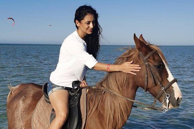 Horse Riding in Amazing Dessert With Transfer - Marsa Alam - Who is This Tour Best Suited For?