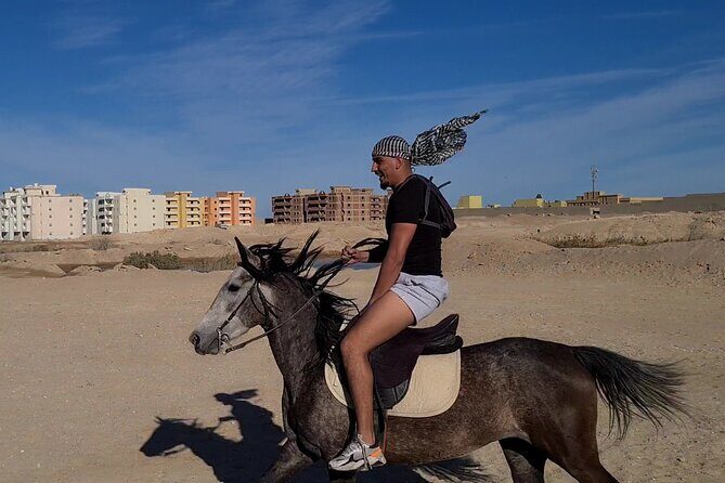 Horse Riding in Amazing Dessert With Transfer - Marsa Alam - The Sum Up