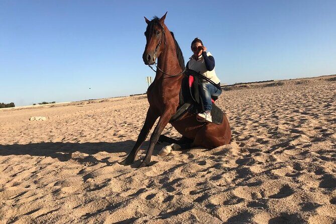 Horse Riding in Amazing Dessert With Transfer - Marsa Alam - Frequently Asked Questions