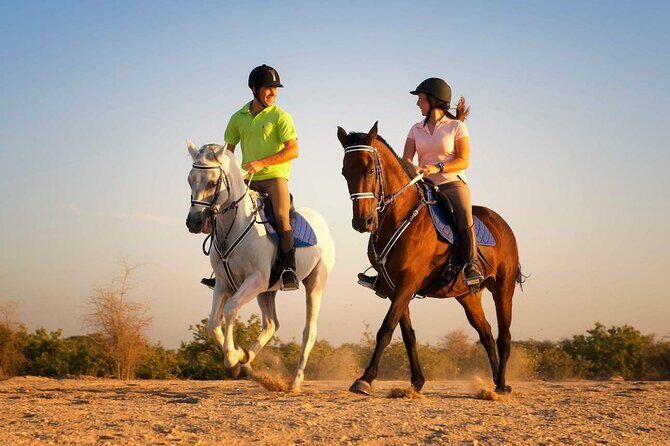 Horse Riding in Antalya,Belek,Lara Beach(Sunrise,Sunset,Day Time) - An In-Depth Look at the Horseback Riding Experience
