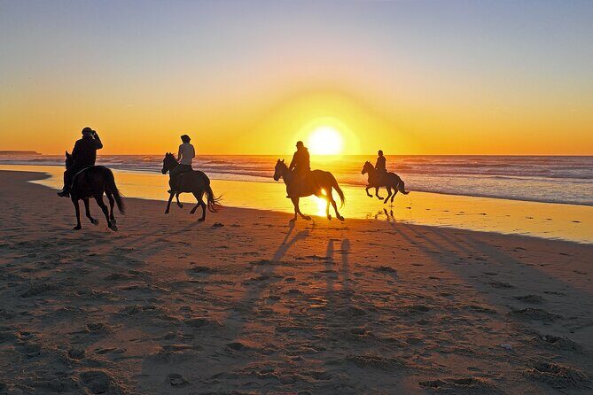 Horse Riding in Antalya,Belek,Lara Beach(Sunrise,Sunset,Day Time) - Authentic Experiences & Common Concerns