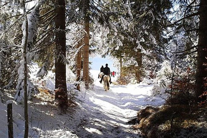 horse-riding-in-bled