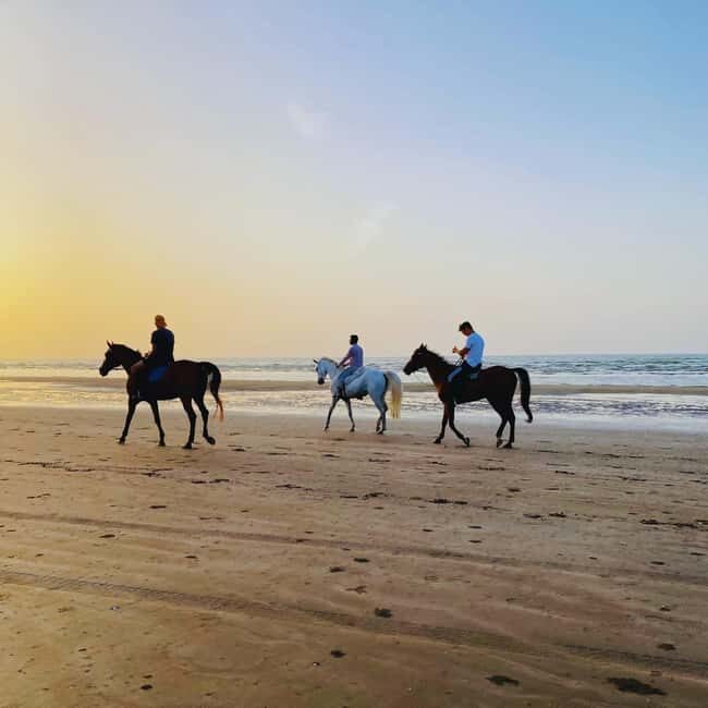 Horse riding in muscat beach - What Makes the Muscat Beach Horse Ride Special?