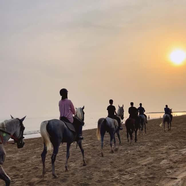 Horse riding in muscat beach - The Scenic Ride and Sunset Magic