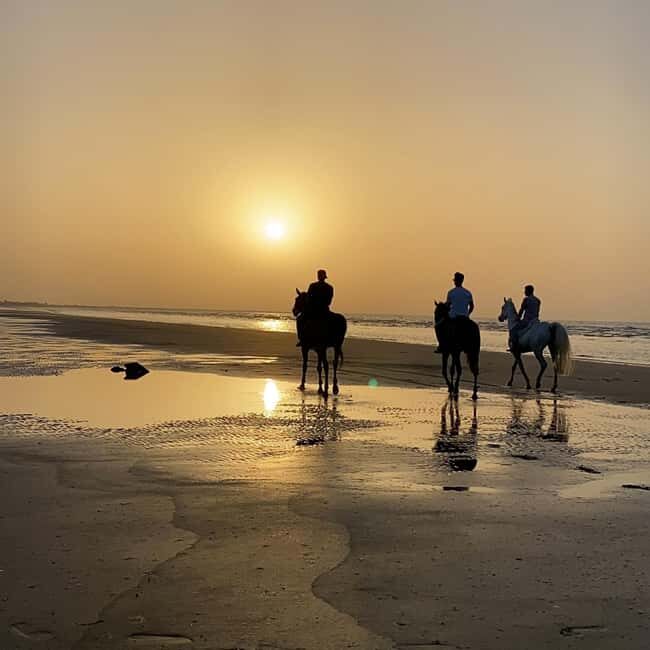 Horse riding in muscat beach - What’s Included and What’s Not