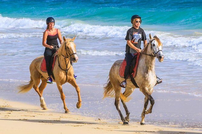 Horse Riding in Sal Island - Cabo Verde - An In-Depth Look at the Horse Riding Tour in Sal Island